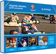 Не игрушка