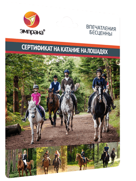 Сертификат на катание на лошадях
