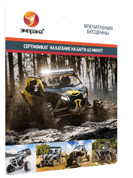 Сертификат на катание на багги 1 час