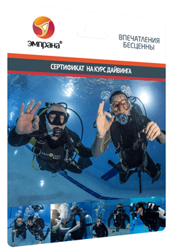 Сертификат на курс дайвинга